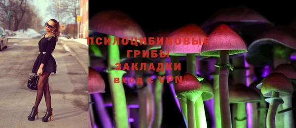 apvp Каменногорск