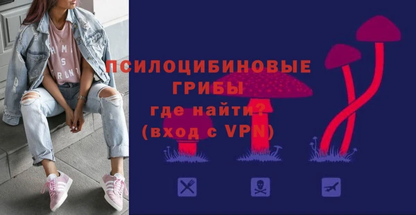 метадон Инта