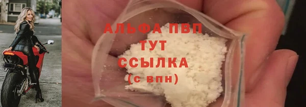 apvp Каменногорск