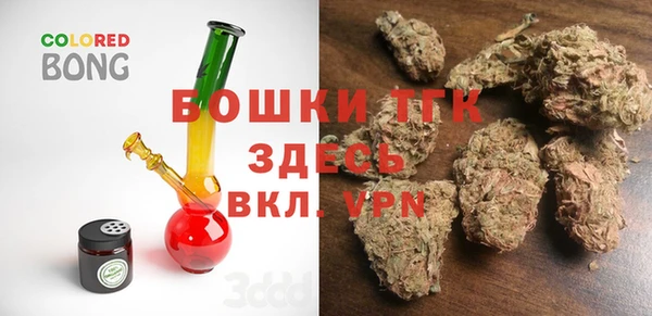 мяу мяу мука Иннополис