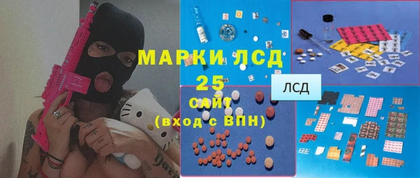 apvp Каменногорск