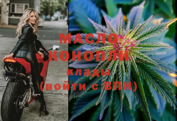 метадон Инта