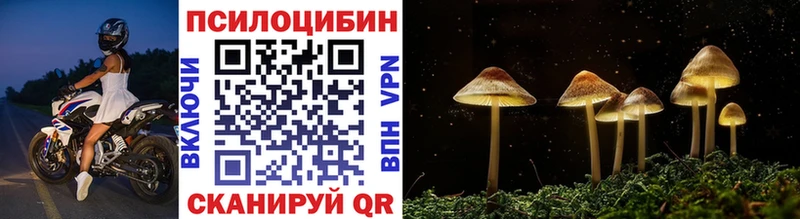 Галлюциногенные грибы Cubensis  Купить закладки  Бабушкин 